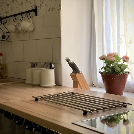 Alpakarium, Hodowla Alpak & Pensjonat Stara Kornica Kültér fotó