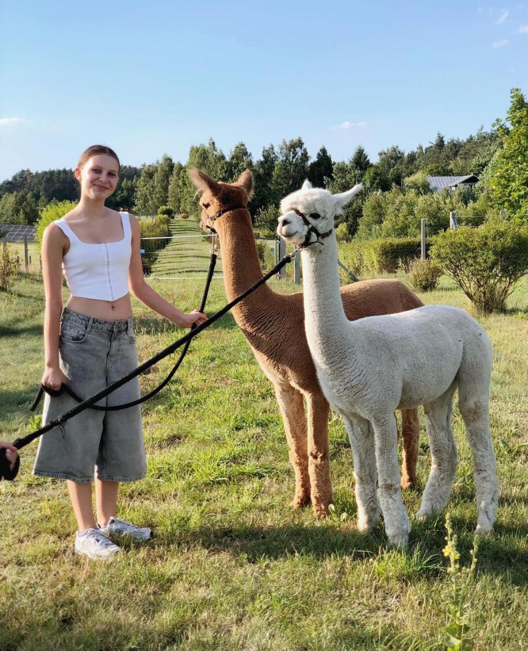 Alpakarium, Hodowla Alpak & Pensjonat Stara Kornica Kültér fotó